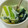 Iamsheeper's cooksnap of when they made ☆超簡単☆豆腐の白だし茶碗蒸し.
