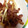 ムーヒツジ's cooksnap of when they made 長ネギとベーコンの中華風炒め.