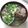 サーフブレイド's cooksnap of when they made ＊あさりの味噌汁＊五臓六腑に染み渡るうぅ.