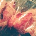 クックJSUZVT☆'s cooksnap of when they made 紫大根を酢漬け.