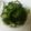 枝っち's cooksnap of when they made すぐできる！オクラの梅おかか和え.