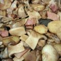 番長ちなみに30歳's cooksnap of when they made もう一品にきのこのジャーマンポテト.