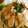 momocat8's cooksnap of when they made 寝てる間にしっとり茹で鶏！スープも旨し！.