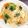 おんタソ。's cooksnap of when they made ツナとレタスのマヨパスタ♬.