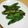 ピーナッツ子♪'s cooksnap of when they made ＊焼きそらまめ＊.