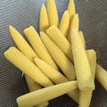 こじこじ７'s cooksnap of when they made 茹でヤングコーンは、からしマヨネーズで.
