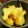 ★shinon's cooksnap of when they made ✽八朔のシャーベット風デザート✽.