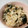 sashihi's cooksnap of when they made 鮭フレークで鮭ワカメの炊き込みご飯.