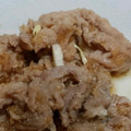 Rili2525's cooksnap of when they made おろし玉ねぎが隠し味！豚肉の生姜焼き.