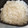 クック82OF1H☆'s cooksnap of when they made ガスでご飯を炊く　行方さんのお米でご飯.