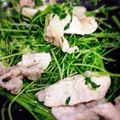 ぷっふぇ's cooksnap of when they made 3分クック♪豚肉と豆苗のサラダ.
