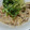 あじゅりーん's cooksnap of when they made シャキシャキもやしときのこのマリネ.