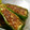+スー+'s cooksnap of when they made 椎茸の合挽き肉詰め焼き：中華風.