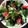 クックP4PLGM☆'s cooksnap of when they made 《簡単》やみつきパクチーサラダ.