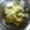 枝っち's cooksnap of when they made 昆布旨レタス.