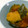 昇父さん's cooksnap of when they made 父ちゃん大好きかぼちゃの煮物.
