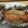 うーぷ's cooksnap of when they made 簡単☆鮭のバター醤油ホイル焼き♪♪.