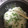 maimoon's cooksnap of when they made 我が家の豆ごはん.