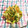 Hanachico's cooksnap of when they made きゅうりと切干大根のさっぱり中華サラダ.