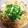 haruka♡♩'s cooksnap of when they made 鮭としらすのパスタ★さっぱりレモンバター.