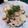 ﾁｮﾎﾞﾋﾟ's cooksnap of when they made カリフラワーシメジ豚肉のにんにくマヨ炒め.