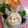 たにたーに's cooksnap of when they made 幼稚園 キャラ弁♡うさぎ お弁当.