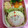 たにたーに's cooksnap of when they made 幼稚園 お弁当♡大仏 遠足.