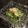 maki♡♡♡'s cooksnap of when they made 豆苗とカニカマのマヨ和え.