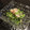 maki♡♡♡'s cooksnap of when they made 豆苗とカニカマのマヨ和え.