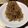 ルナＰボール's cooksnap of when they made ヘルシー＊白滝きんぴら.