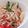なぽりたーん's cooksnap of when they made 蒸し鶏の胡麻つゆサラダうどん.