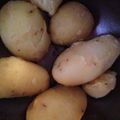 はるたかきんぐ's cooksnap of when they made 簡単に　ジャガイモの皮のむき方.