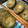 沙弥0523's cooksnap of when they made ゴーヤとライスペーパ揚げとさっぱりダレ.