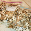 ダッフィーニーうに's cooksnap of when they made まいたけの簡単！保存方法.