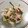 マチャミ☆'s cooksnap of when they made あと一品！大根ときゅうりの簡単ツナサラダ.