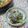サオリ's cooksnap of when they made 毎日食べたい！トマキュウもずくちゃん.