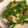 u_rara's cooksnap of when they made お弁当に！エリンギとピーマンのきんぴら.
