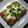 はむねこちゃん's cooksnap of when they made 厚揚げのなす味噌チーズ焼き.