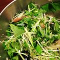 （笑）'s cooksnap of when they made ミョウガと水菜のチョレギ風サラダ.