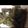 クック785ZBI☆'s cooksnap of when they made 簡単... ふきのキンピラ.