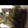 クック785ZBI☆'s cooksnap of when they made 簡単... ふきのキンピラ.