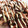 Buhichef's cooksnap of when they made ゲソ焼き！香ばしく焼いて〜おいし〜い。.