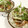 papikun's cooksnap of when they made とろんとろんと【煮豚丼】旨いよ♪.