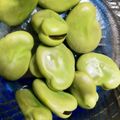 クックIBH9CR☆'s cooksnap of when they made 初夏の味！そら豆のゆで方.