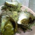 maruru-nn's cooksnap of when they made サザエのジェノバ焼き♪～ｴｽｶﾙｺﾞ風.