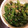 グランティラノス's cooksnap of when they made いんげんの胡麻和え.