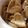 nono8008's cooksnap of when they made 犬と一緒に食べれるクッキー♪.