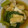 ★くまた★☆'s cooksnap of when they made 煮るだけ常備菜！小松菜と油揚げの煮びたし.
