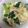 ∞ともちゃん∞'s cooksnap of when they made えのき入り卵スクランブルちんげん菜.