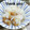 陽翔mam 's cooksnap of when they made きのこと　しらすの　おろし和え.